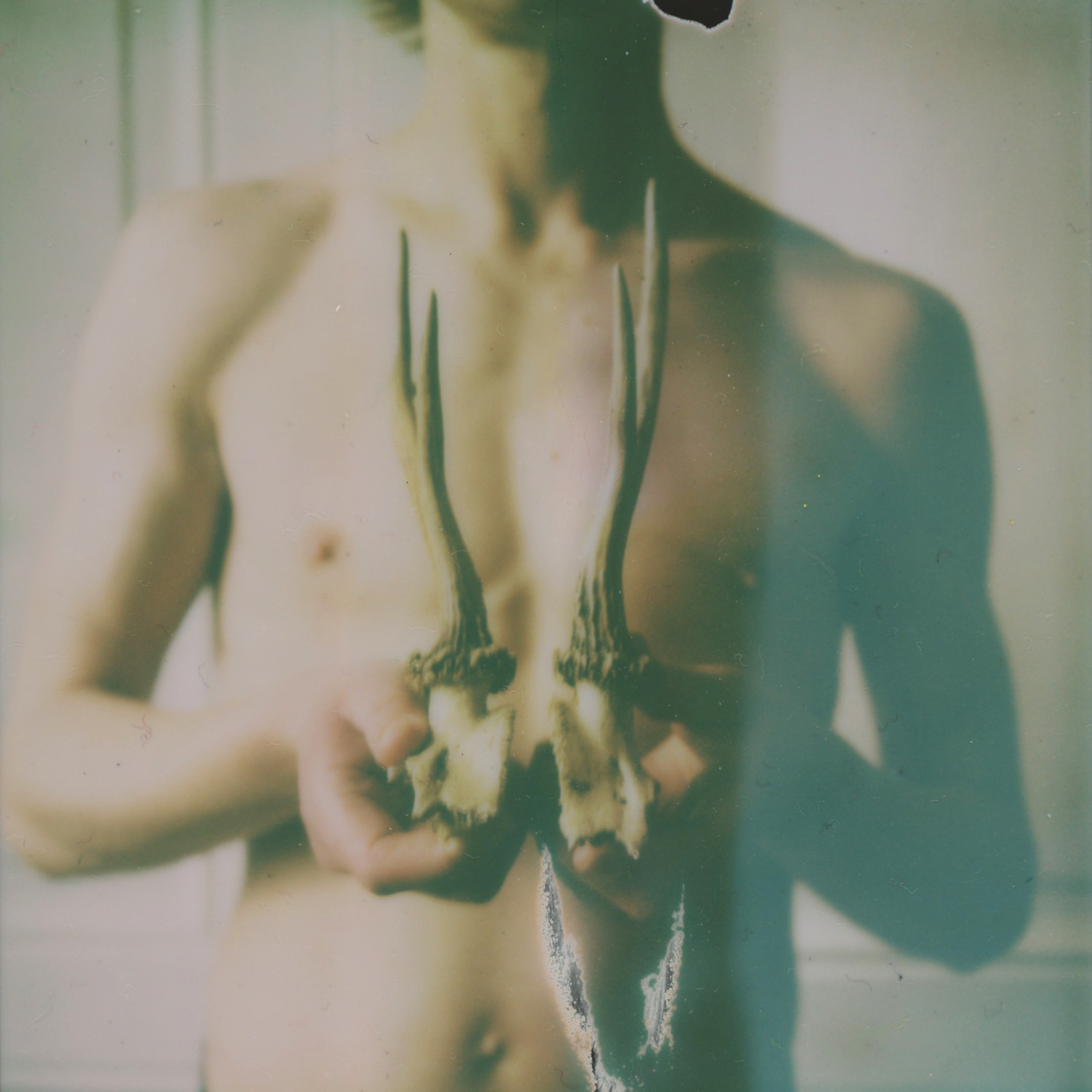 (untitled), série Androgyne