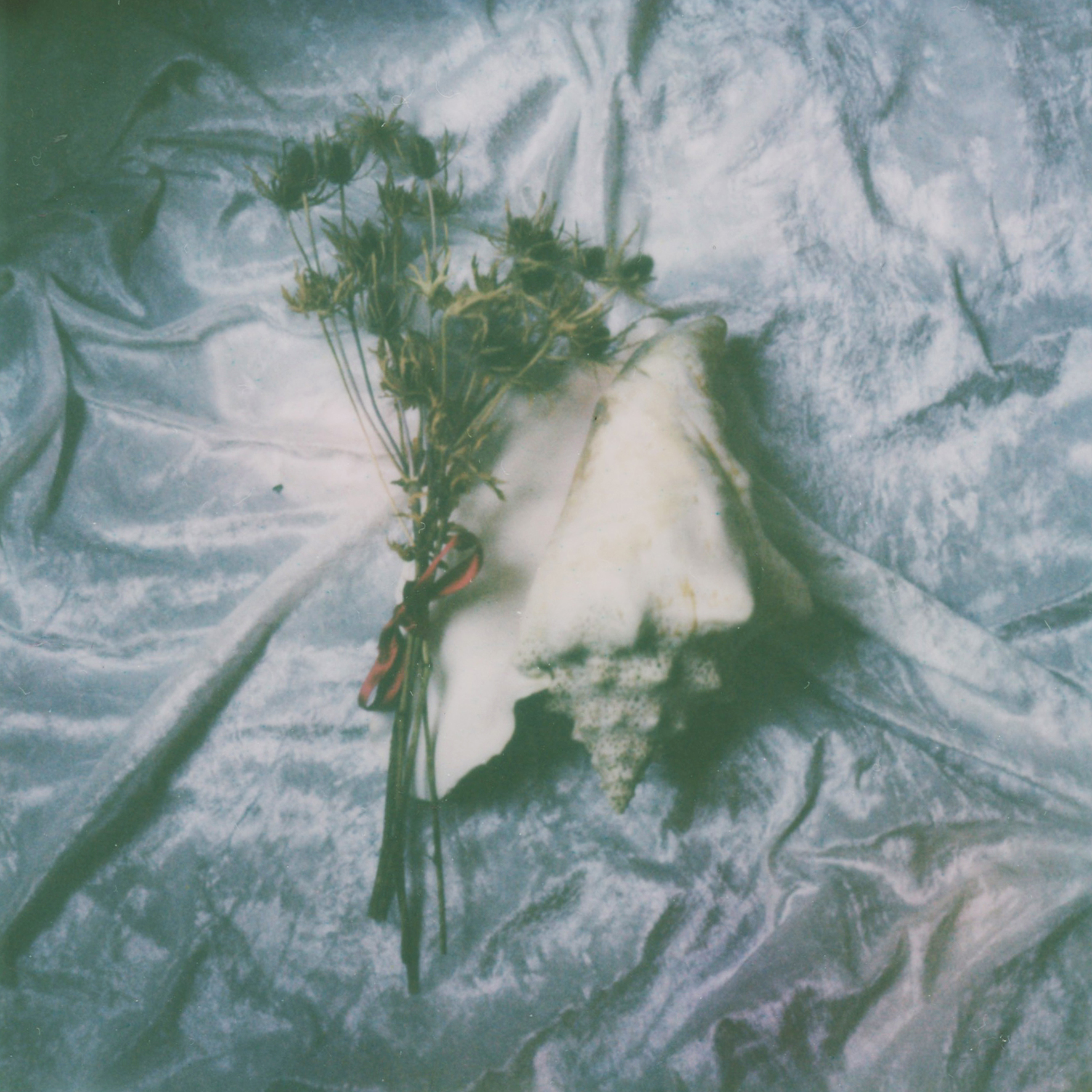 (untitled), série Androgyne