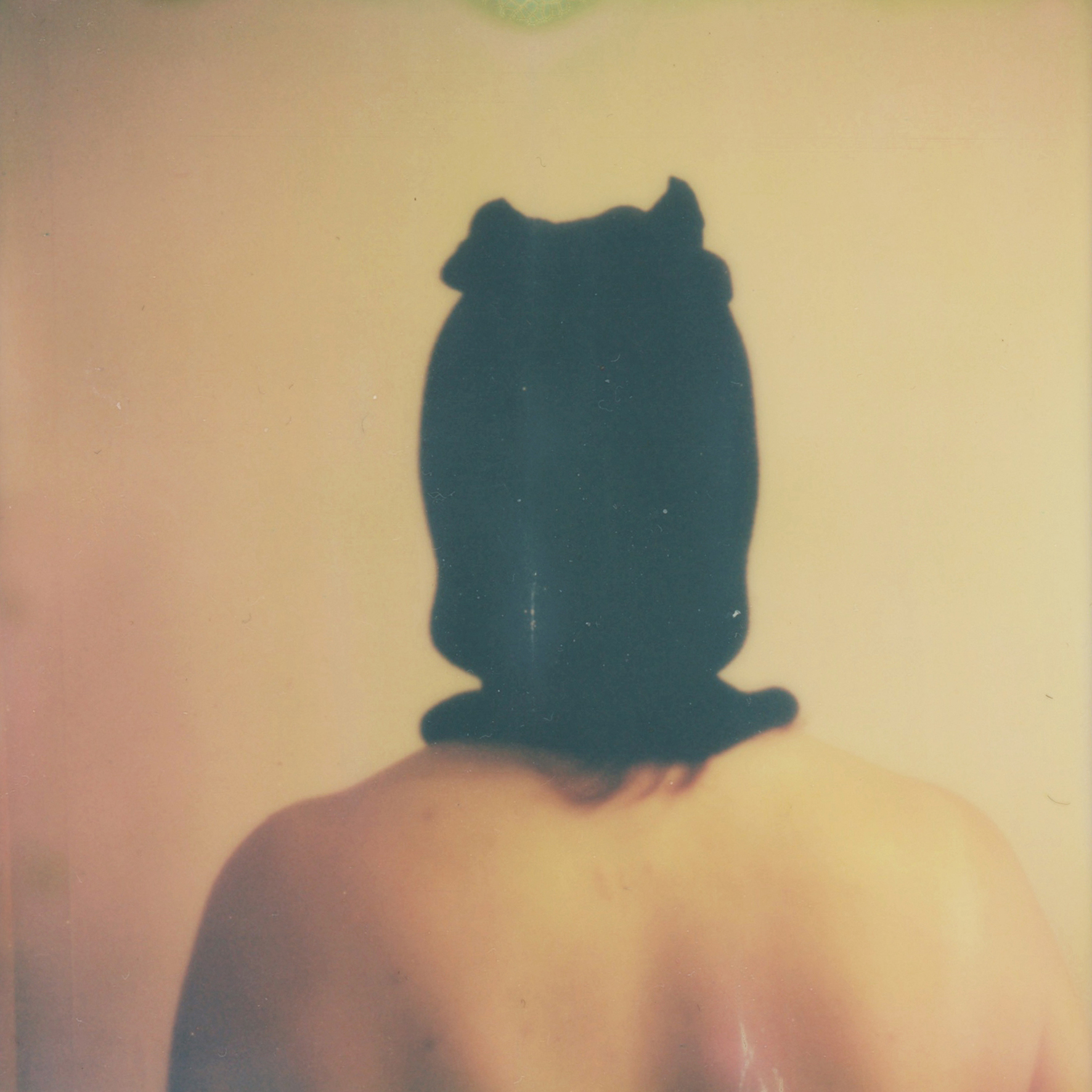 (untitled), série Androgyne