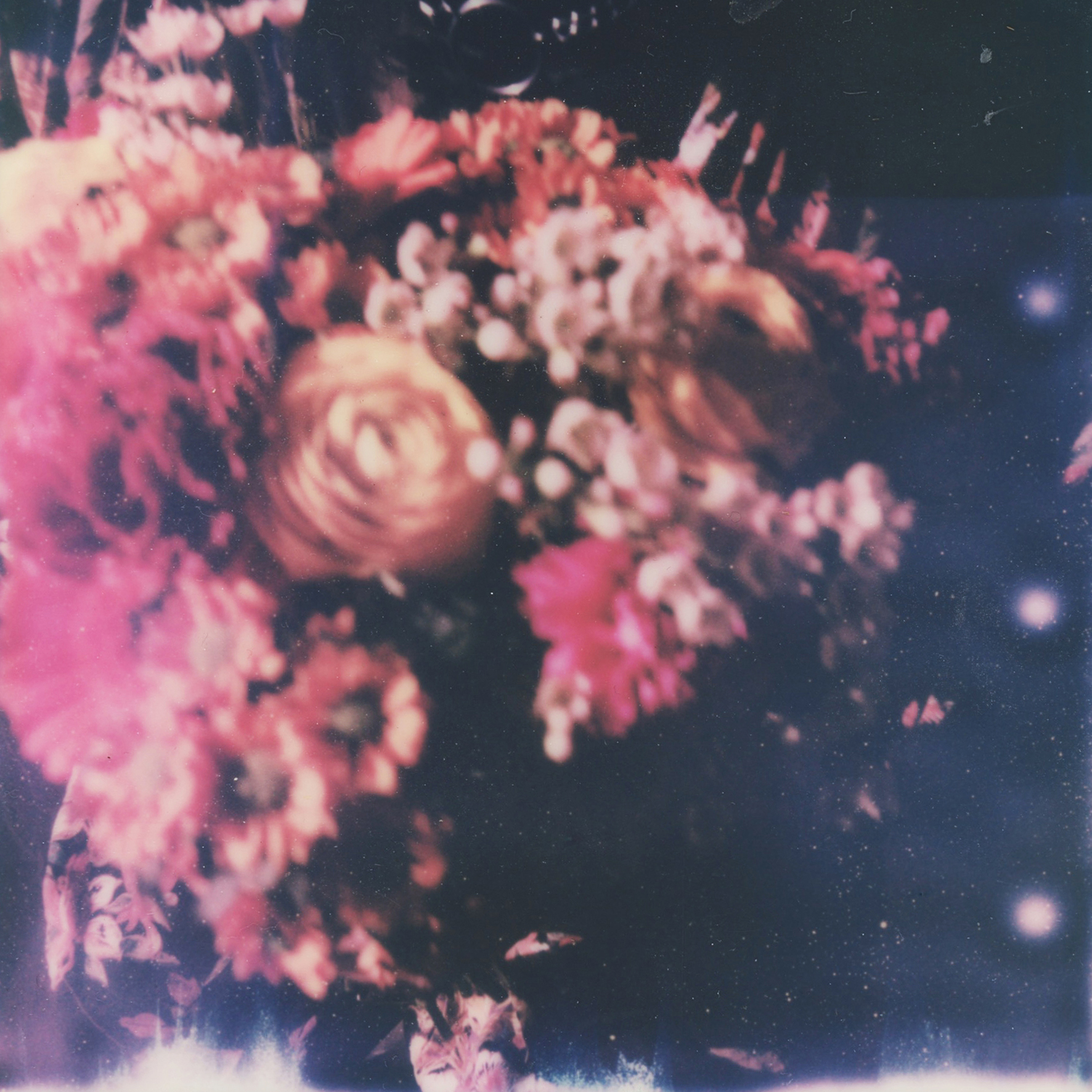 (untitled), série Androgyne