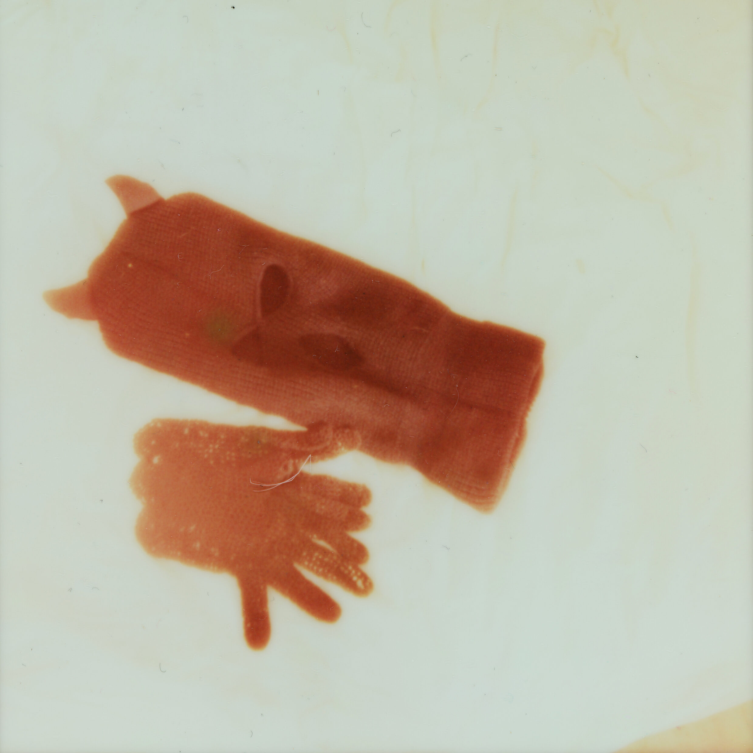 Ratwife, projet musical personnel