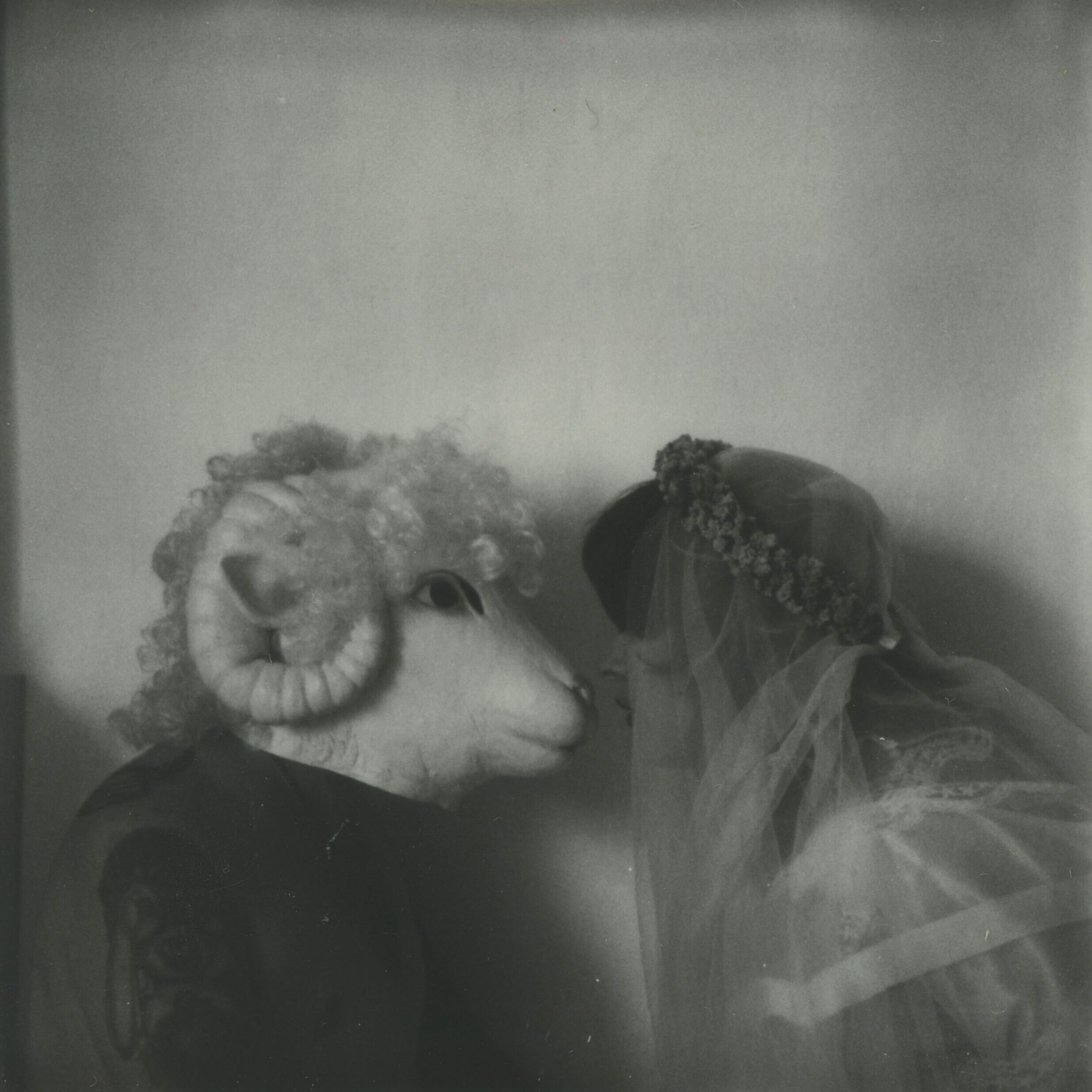 Ratwife, projet musical personnel