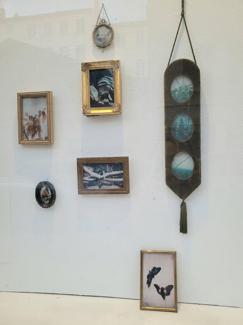 Exposition à la Galerue 2025