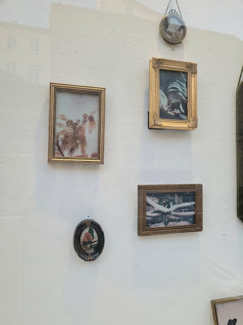 Exposition à la Galerue 2025