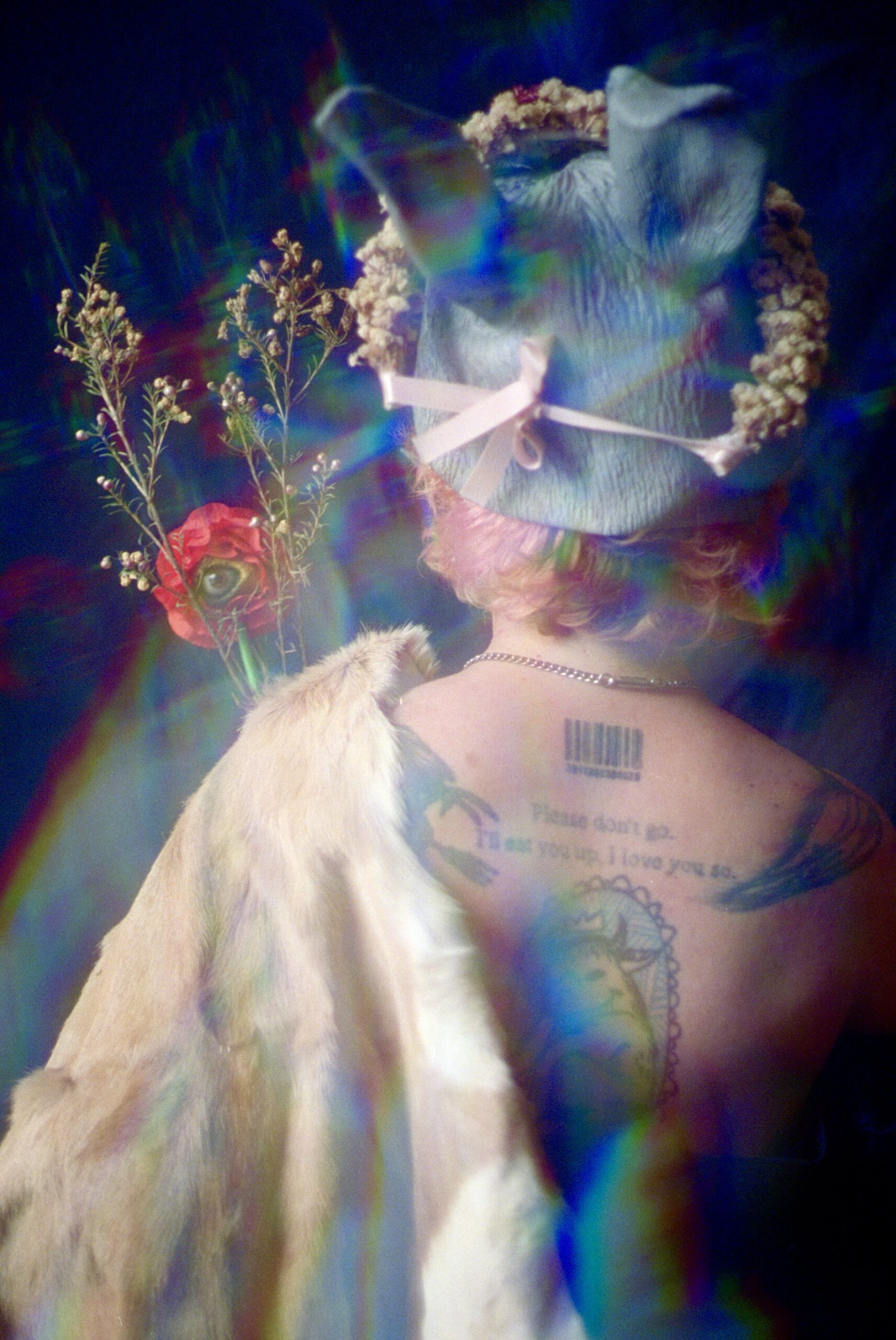 Peau d’Âne, série Angels & Monsters