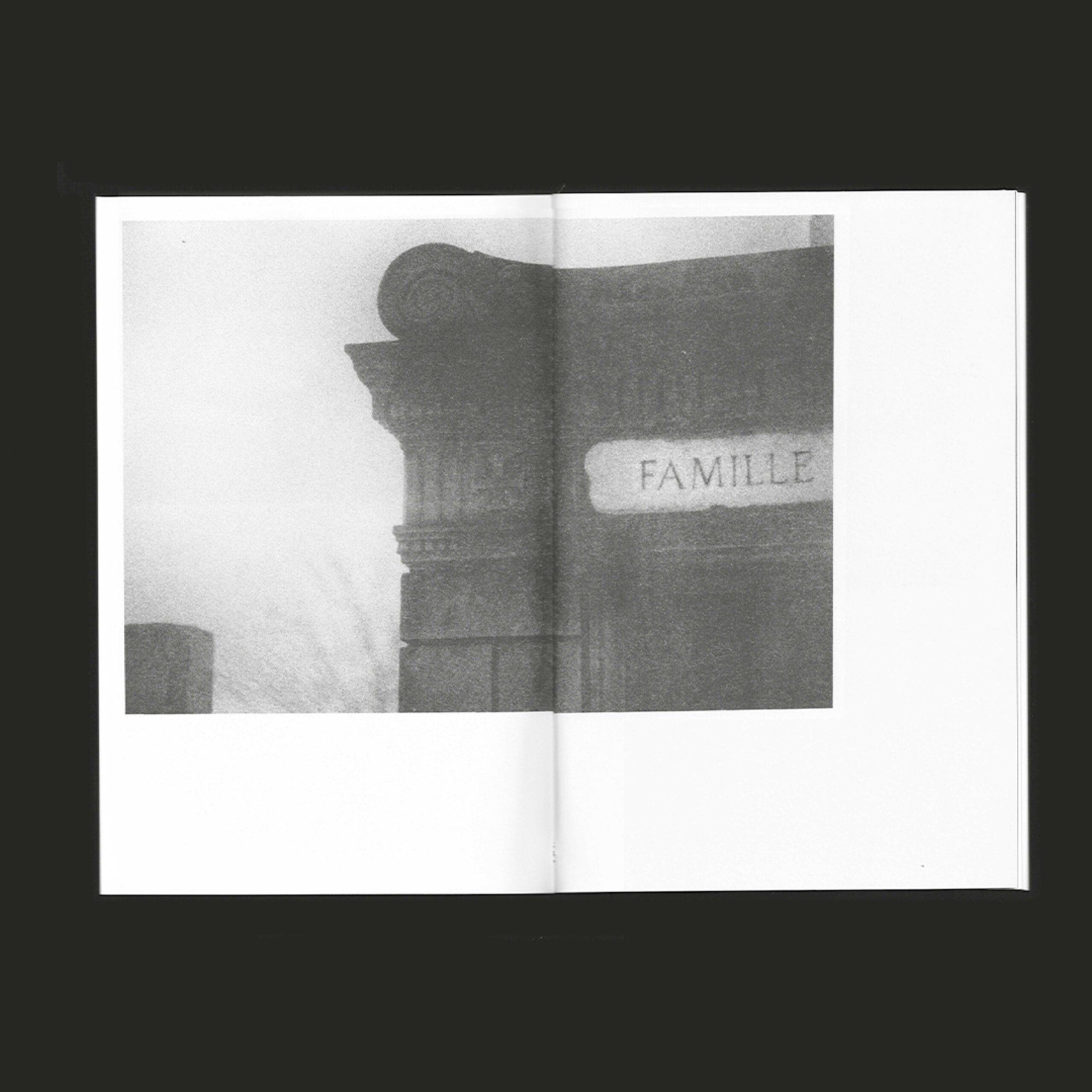 Loyasse mon amour, projet éditorial