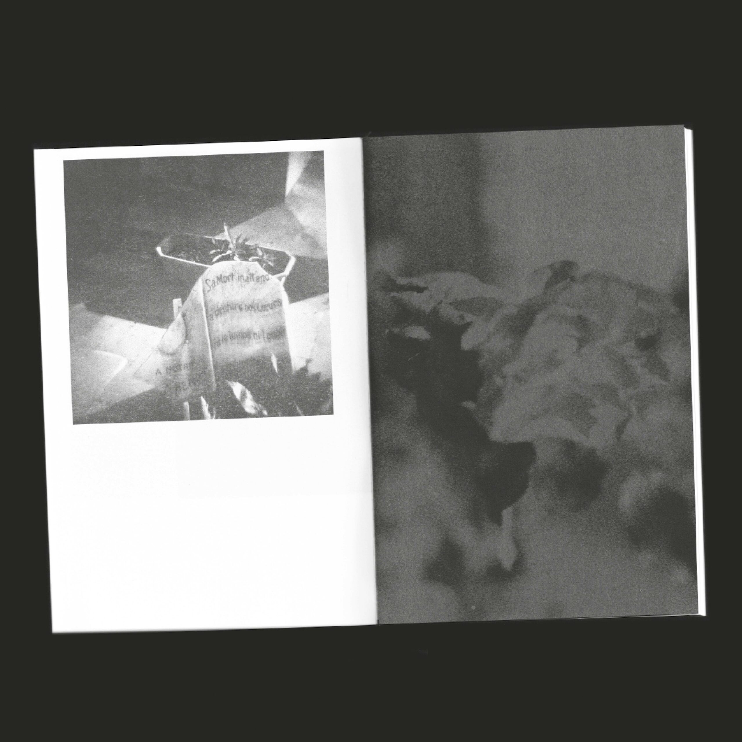 Loyasse mon amour, projet éditorial