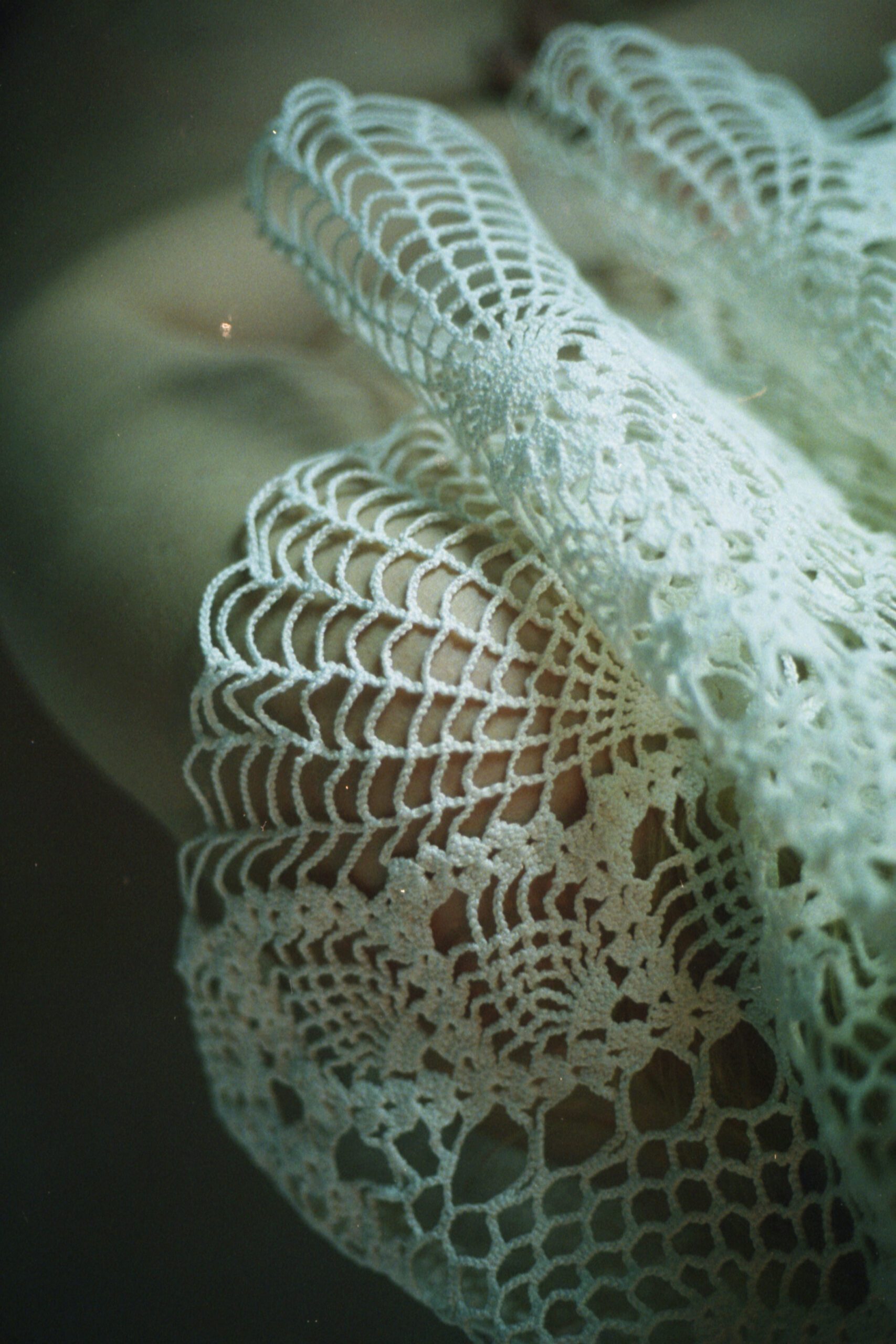 (untitled), série Angels & Monsters