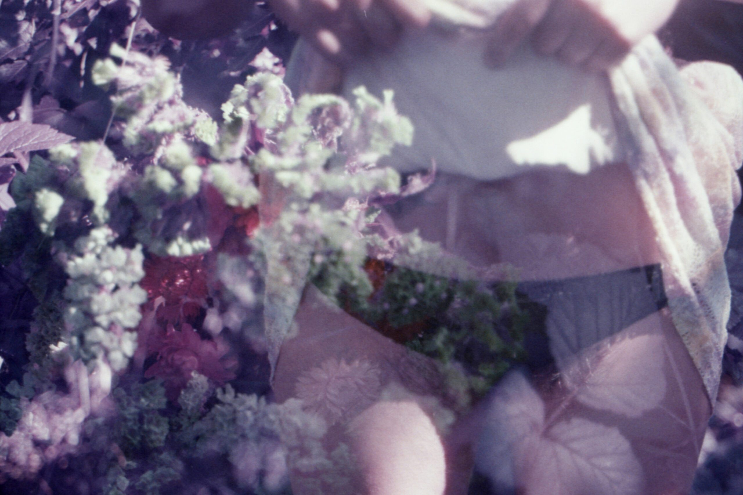 Dark Paradise, série Angels & Monsters