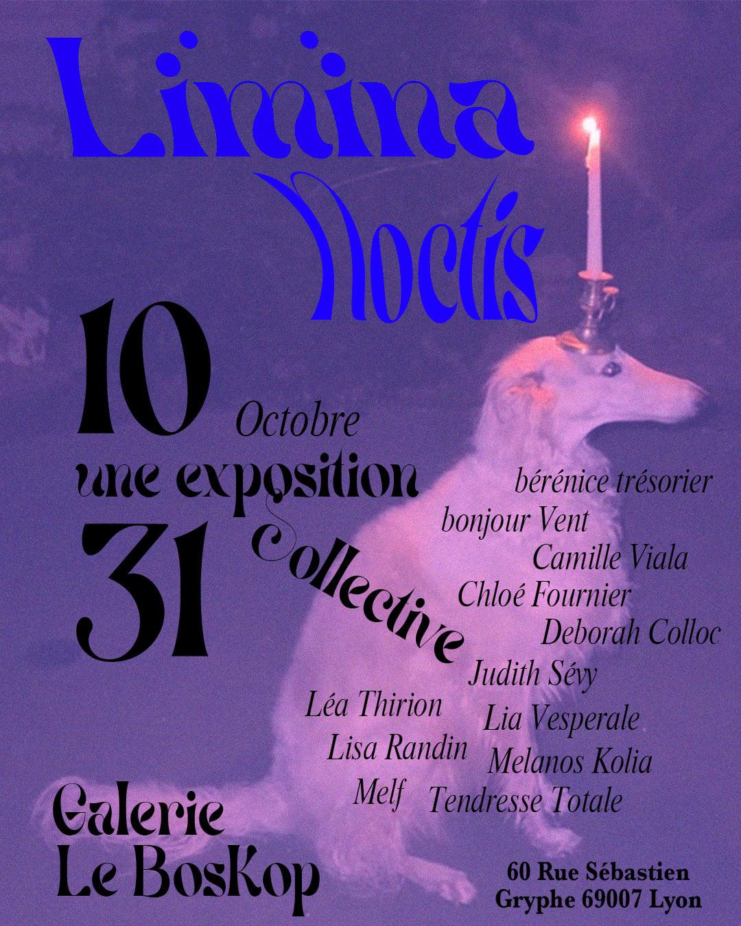 Limina Noctis: exposition collective à la Galerie de Boskop