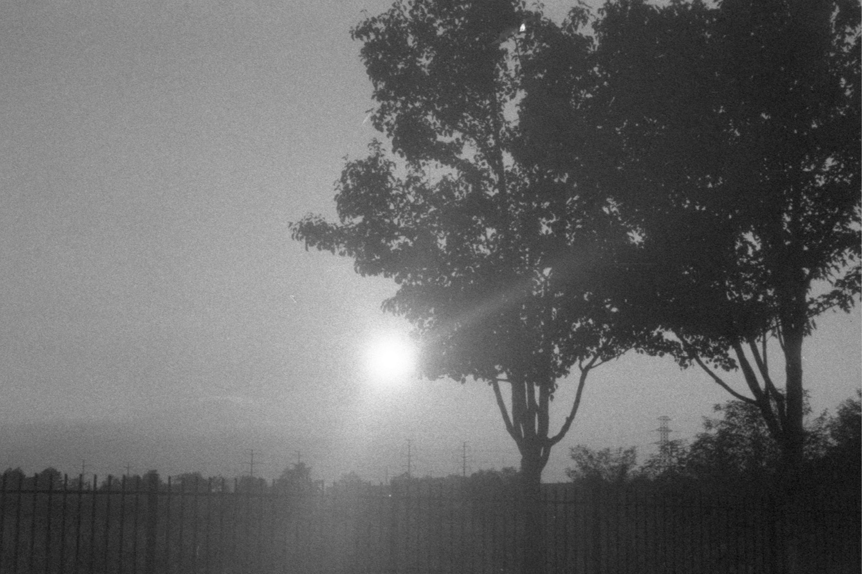 blackmetal12