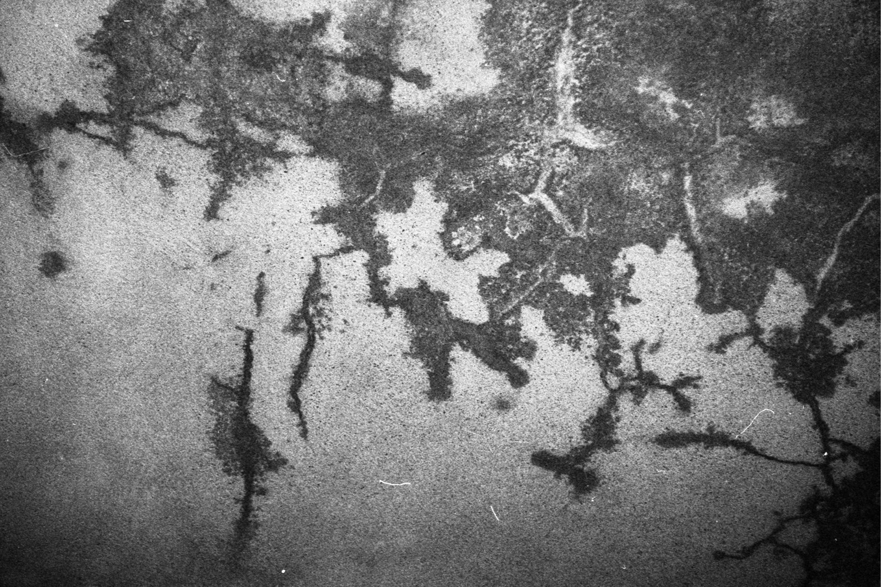 blackmetal13