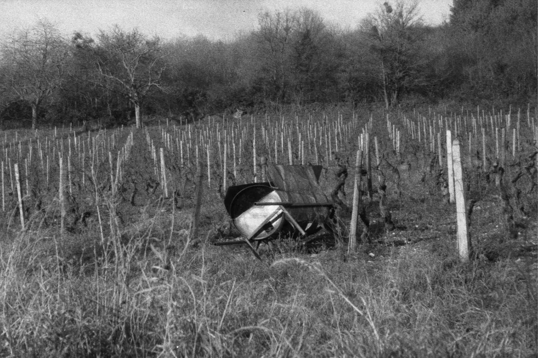 blackmetal36